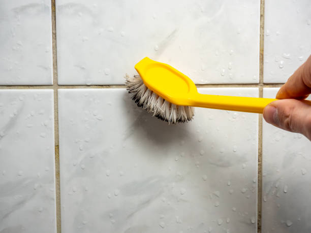 Best Kitchen Mold Remediation in Westview, FL