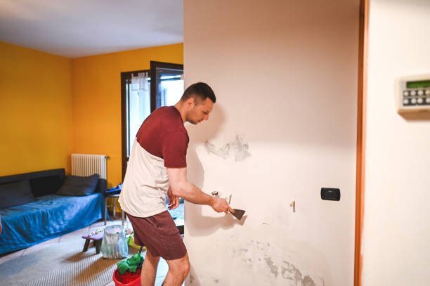 Best White Mold Remediation in Westview, FL